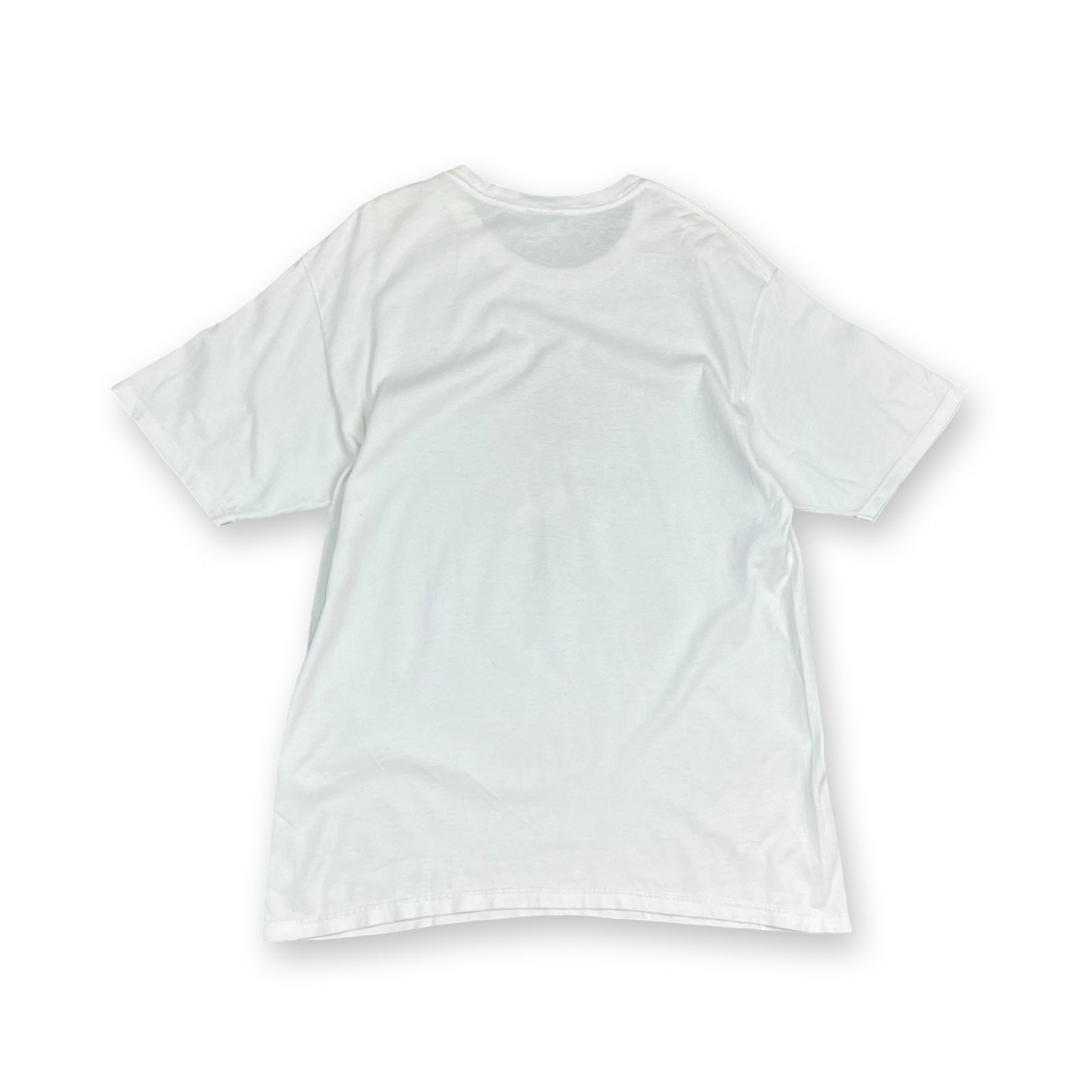 Vintage Stussy Levitate T-Shirt in white