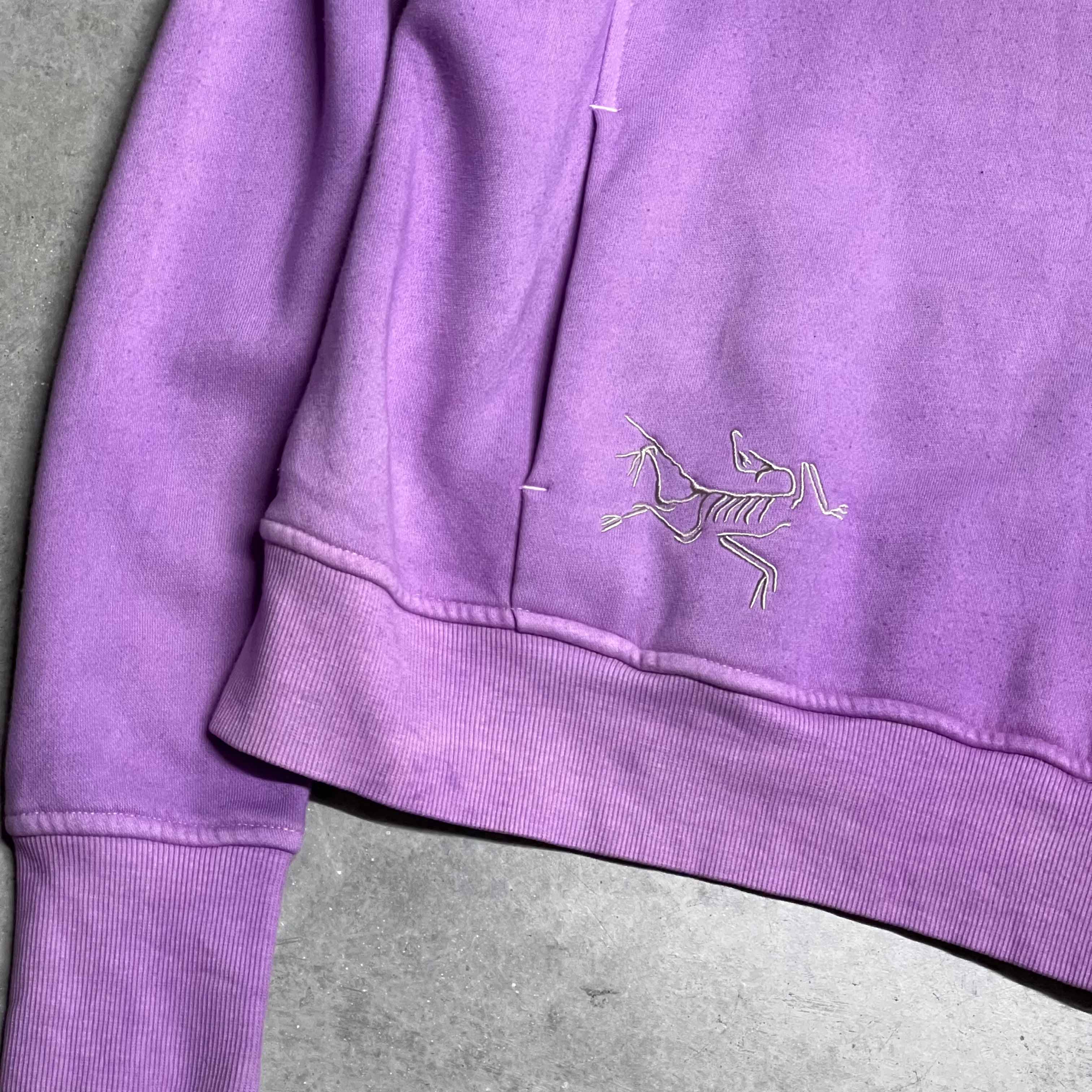Vintage Arc'teryx Hoodie in Purple