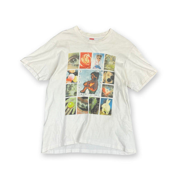 Supreme Original Sin T-Shirt in white